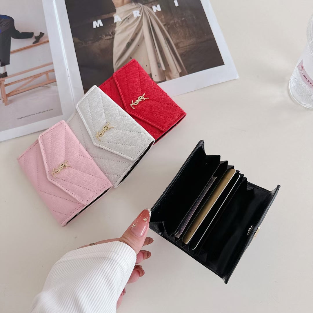 Saint Laurent Everyday Icon Case