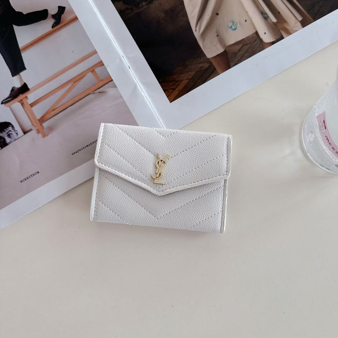 Saint Laurent Everyday Icon Case