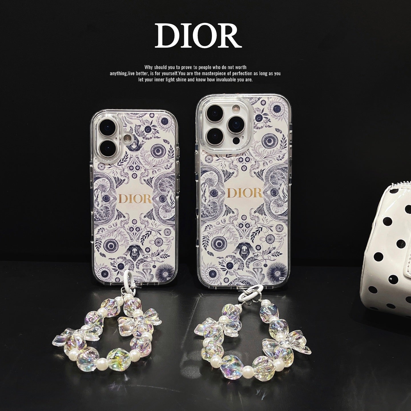 Dior Pure Luxe Case